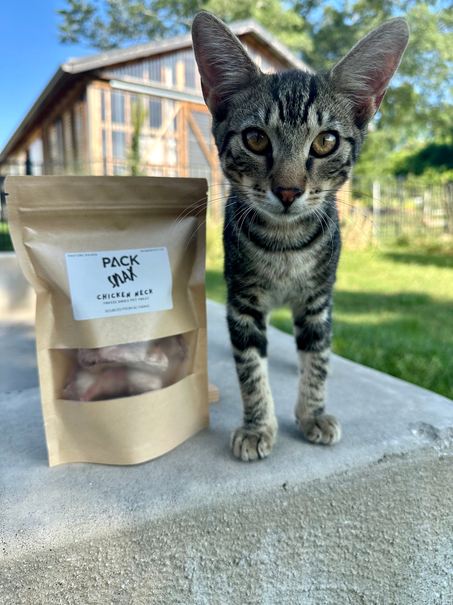 Freeze Dried Chicken Neck