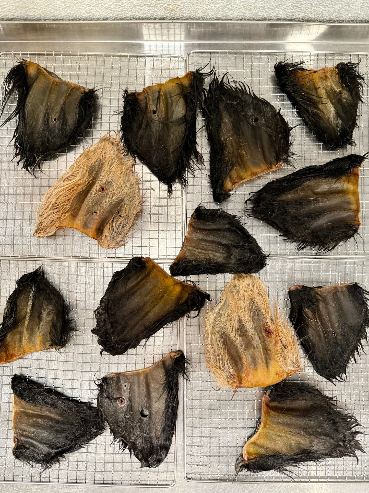 Dehydrated Hairy Cow Ear Chew